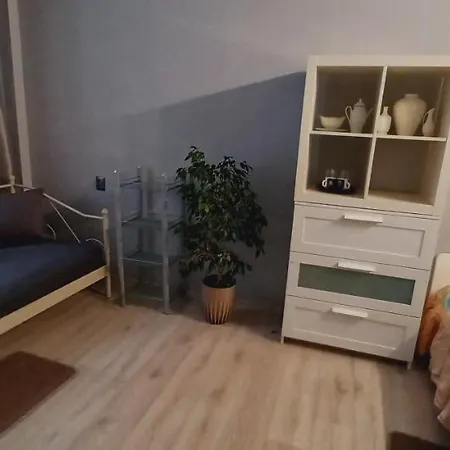 Cion بيت شباب *